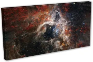 30 x 15 - Tarantula Nebula Canvas Print Wall Art per NASA JWST, 30 doradus, NGC 2070