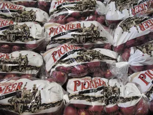 Agriculture & Food Packaging