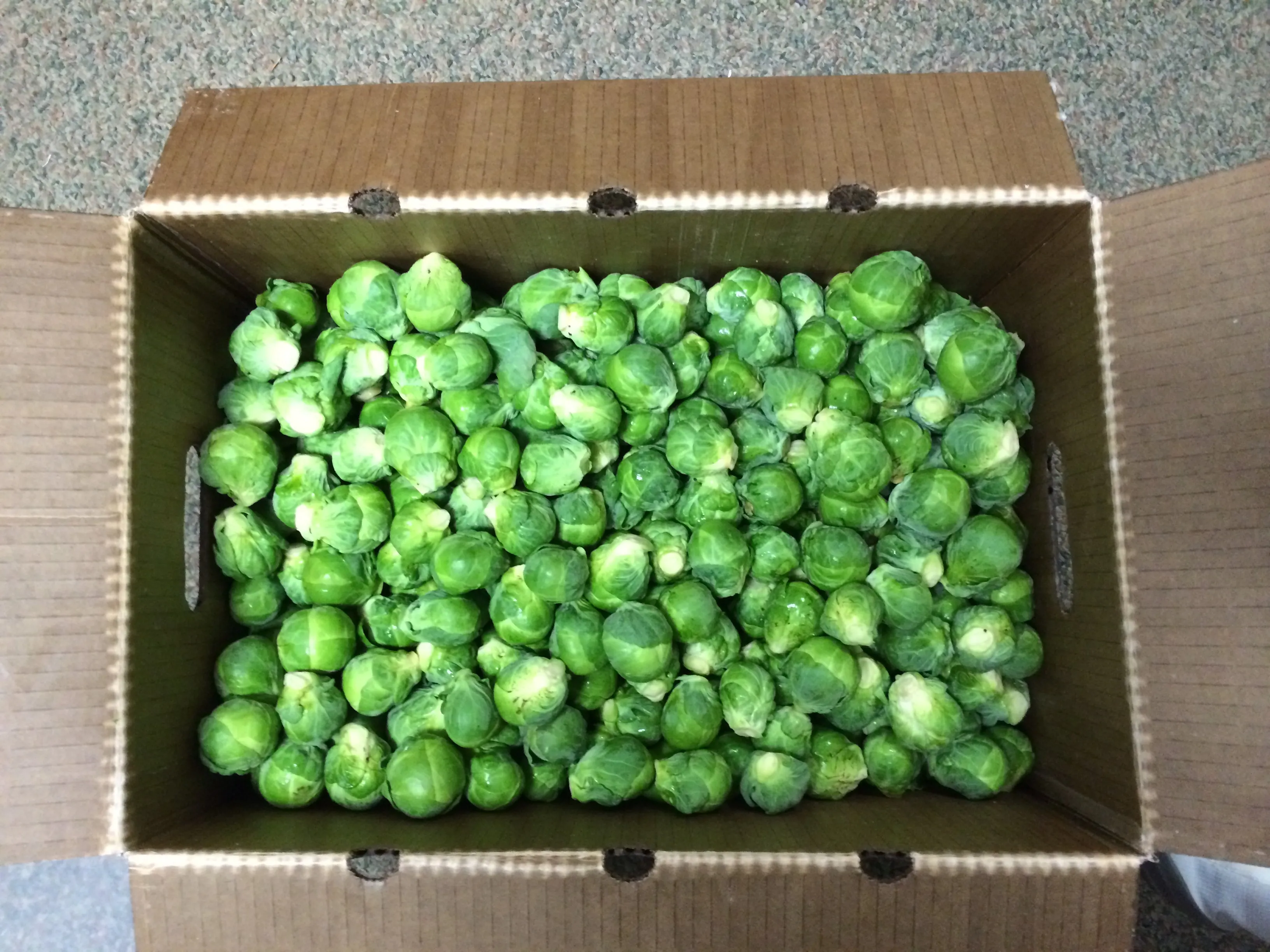 Agriculture & Food Packaging