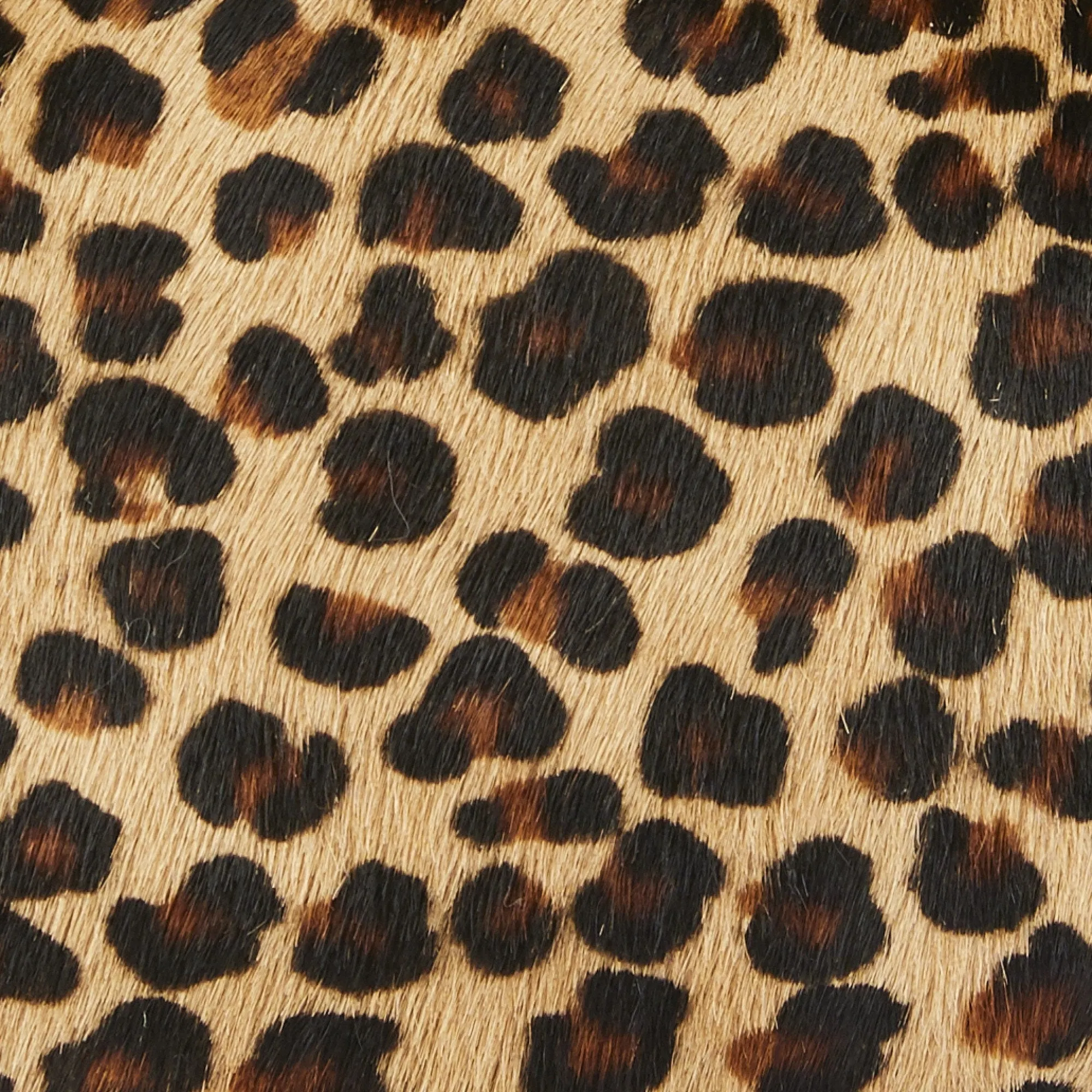 Animal Print Tote Bag