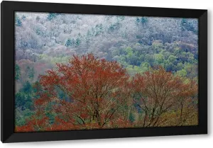 ArtDirect USA- Tennessee. Great Smoky Mountains National Park with late springtime snow Custom Framed Art Print Giclee Print or Canvas Options with Various Sizes and Customization by Gulin, Darrell (549572)