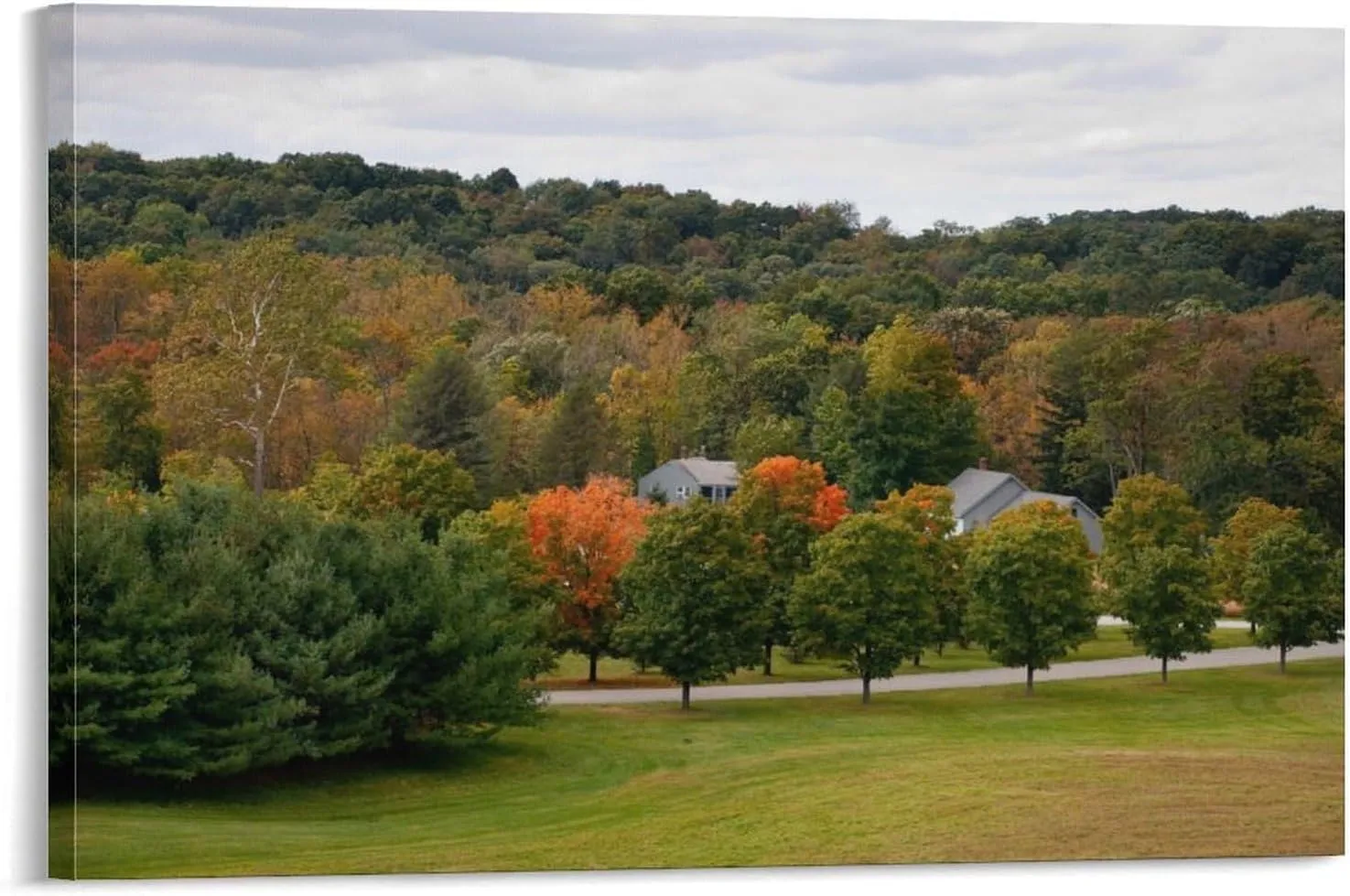 Beautiful Golden Autumn at Storm King Park, Catskill Mountains & Hudson Valley New York Canvas Print Canvas Wall Art Print Poster For Home School Office Decor Frame-style 16x24inch(40x60cm)