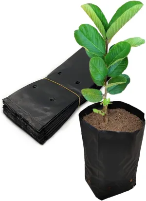 Belit 100 Pcs Plant Nursery Bags, Plastic Seedling Pots Container for Fruit Tree, Flower, Starting saplings, Plant Grow(3.5"x7.6")