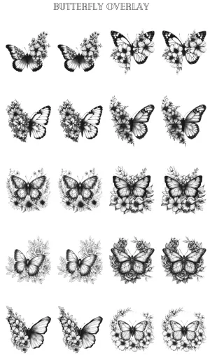 Butterfly Overlay