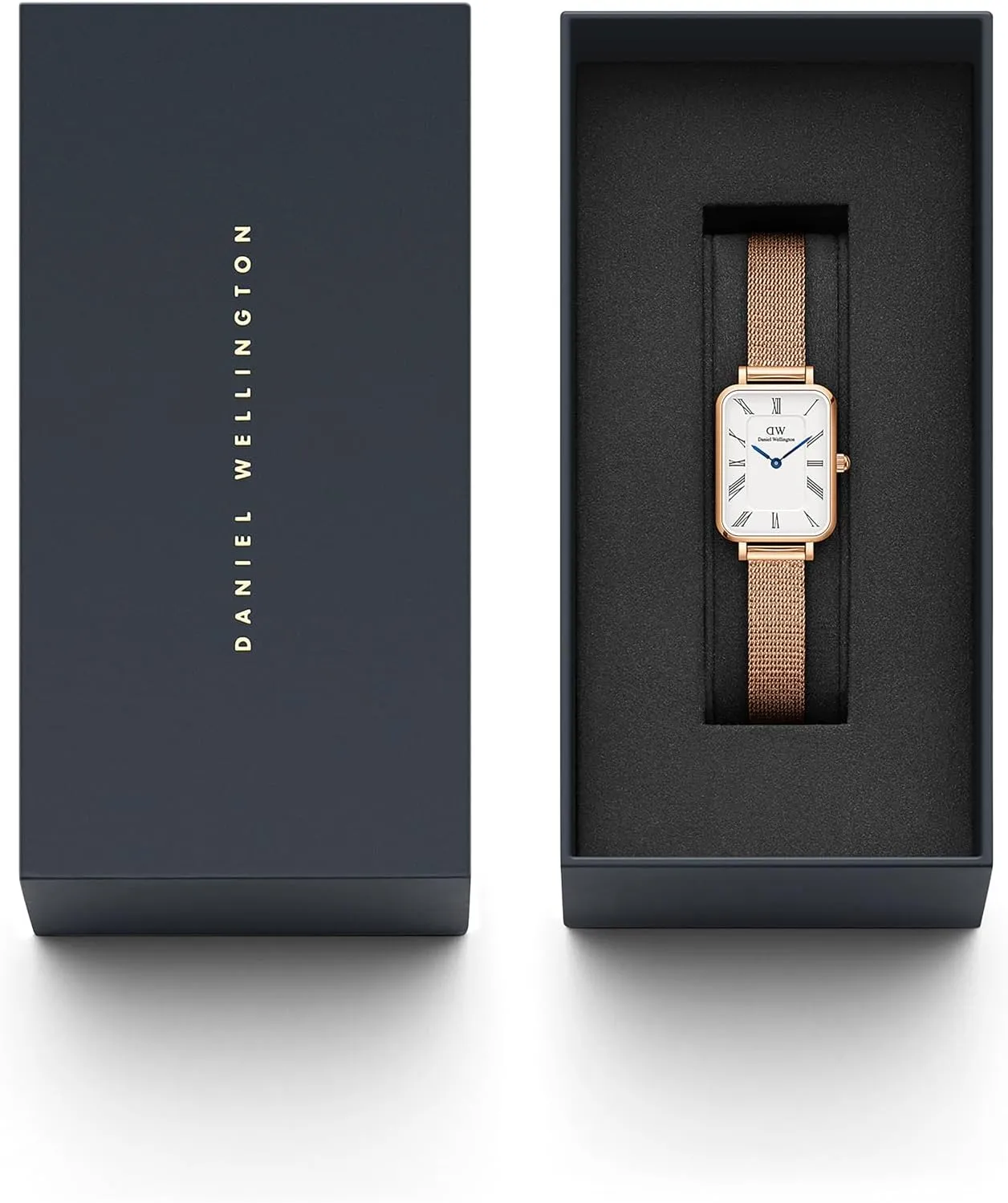 Daniel Wellington Roman Numerals Watch - 316L Stainless Steel Case, Leather or Stainless Steel Strap, Blue Hands, Analog Watch for Women