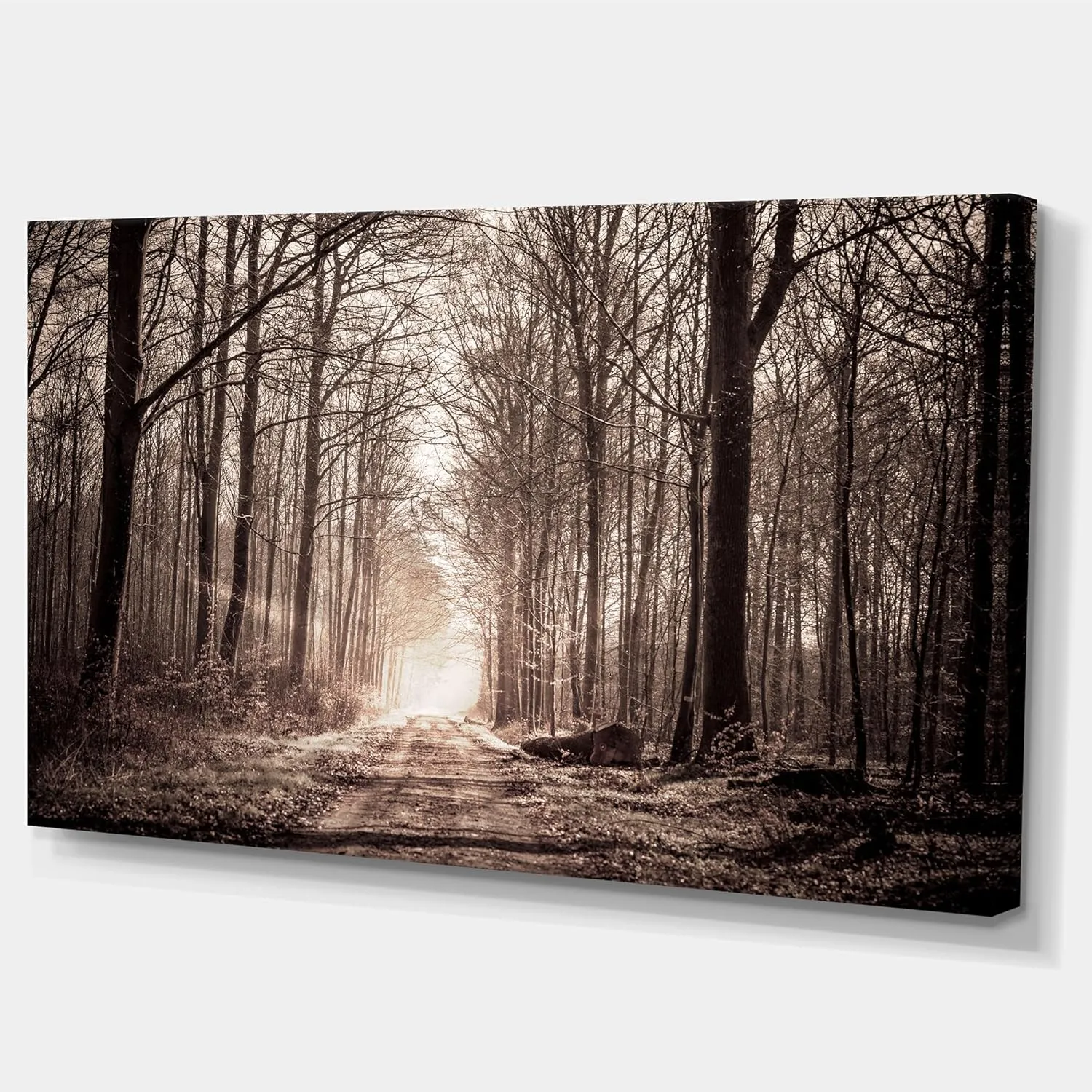 Designart PT9346-32-16 Forest Trail in Sepia-Landscape Photography Canvas Print-32x16, 32x16, Black