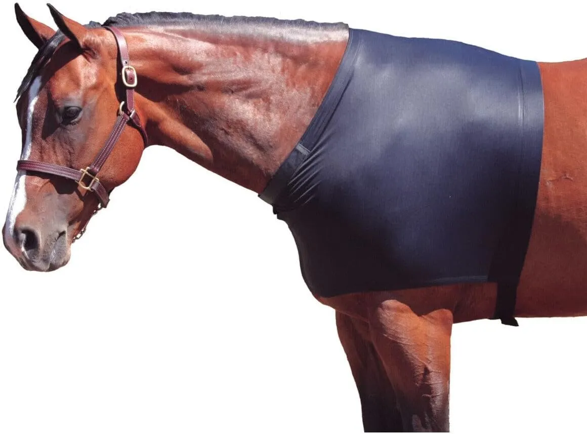 for Horses X-Large Solid Stretch Shoulder Guard Black