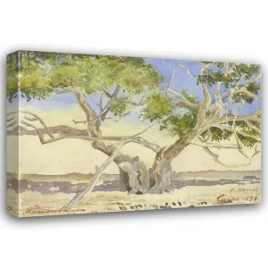 Fritz Hauck 24x18 Gallery Wrapped Canvas Museum Art Print Titled: Mary's Tree near Cairo (1898)
