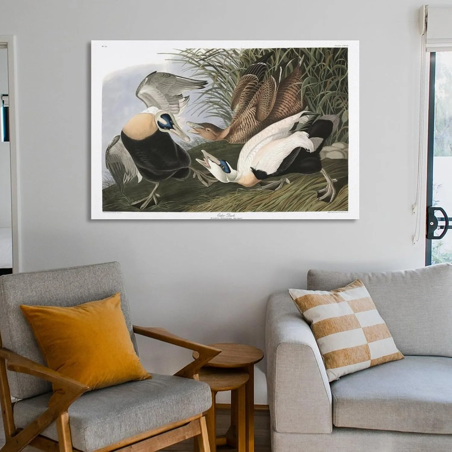John James-Audubon Posters Print J. Audubon Birds of America 246 Eider Duck Picture Print Canvas Poster Wall Paint Art Posters Decor Modern Home Artworks Gift Idea 08x12inch(20x30cm)