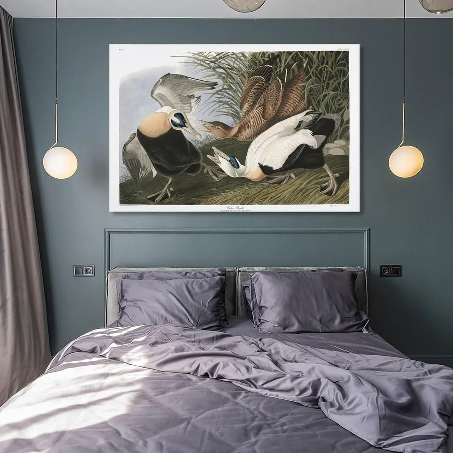 John James-Audubon Posters Print J. Audubon Birds of America 246 Eider Duck Picture Print Canvas Poster Wall Paint Art Posters Decor Modern Home Artworks Gift Idea 08x12inch(20x30cm)