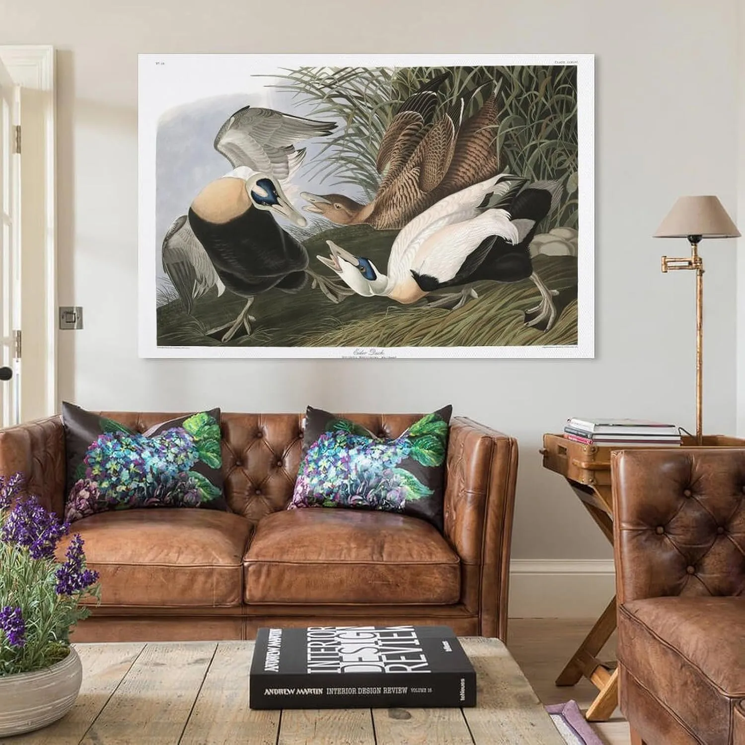 John James-Audubon Posters Print J. Audubon Birds of America 246 Eider Duck Picture Print Canvas Poster Wall Paint Art Posters Decor Modern Home Artworks Gift Idea 08x12inch(20x30cm)