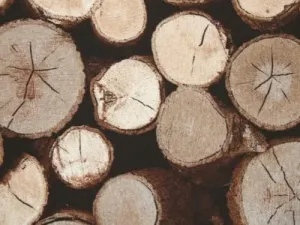 Minerva Crafts Wood Texture Print Cotton & Polyester Canvas Fabric Brown - per Yard