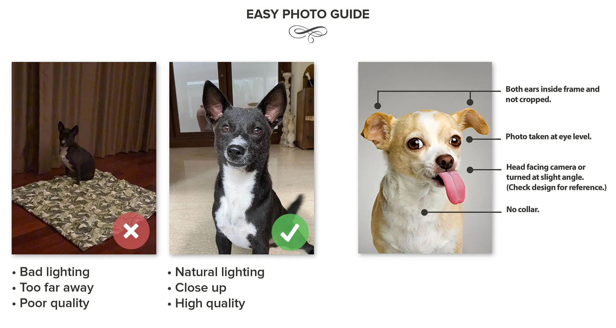Mister Spook - Star Trek Inspired Custom Pet Portrait Canvas