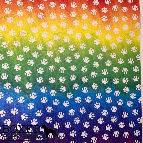 Paws - Rainbow