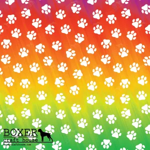 Paws - Rainbow