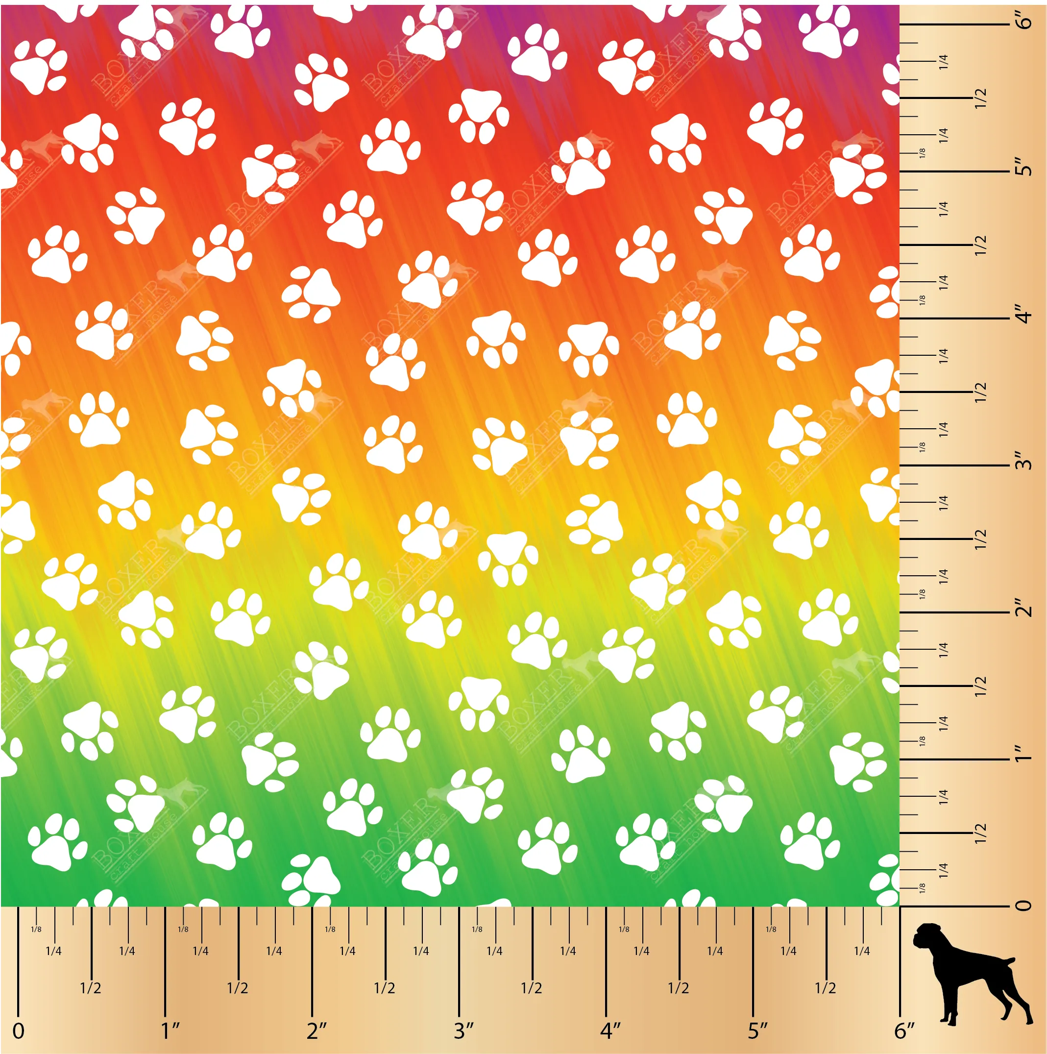 Paws - Rainbow