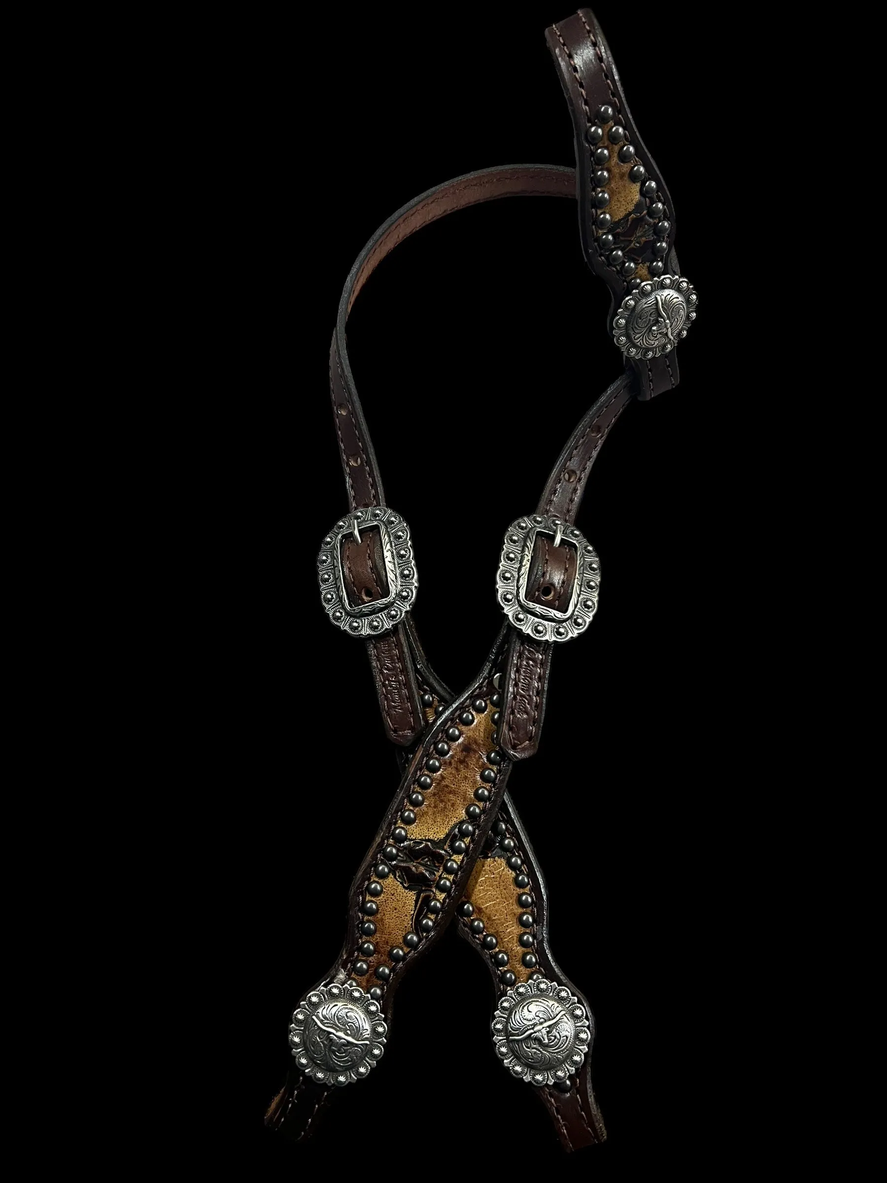 Sepia Longhorns on dark harness leather