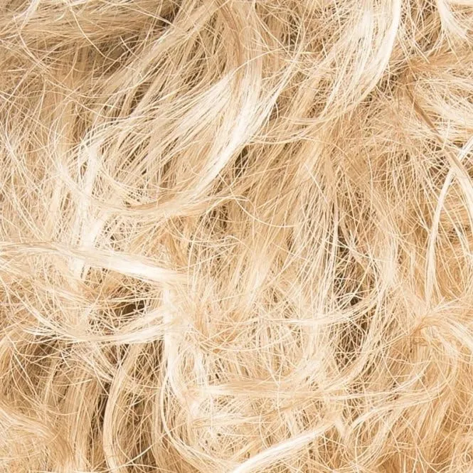 Storyville Wig Color Champagne Rooted - Ellen Wille Wigs 10" Shoulder Length Fun Bouncy Curls Synthetic Sheer Lace Front Natural Hairline Curly Rooted Petite Average Cap