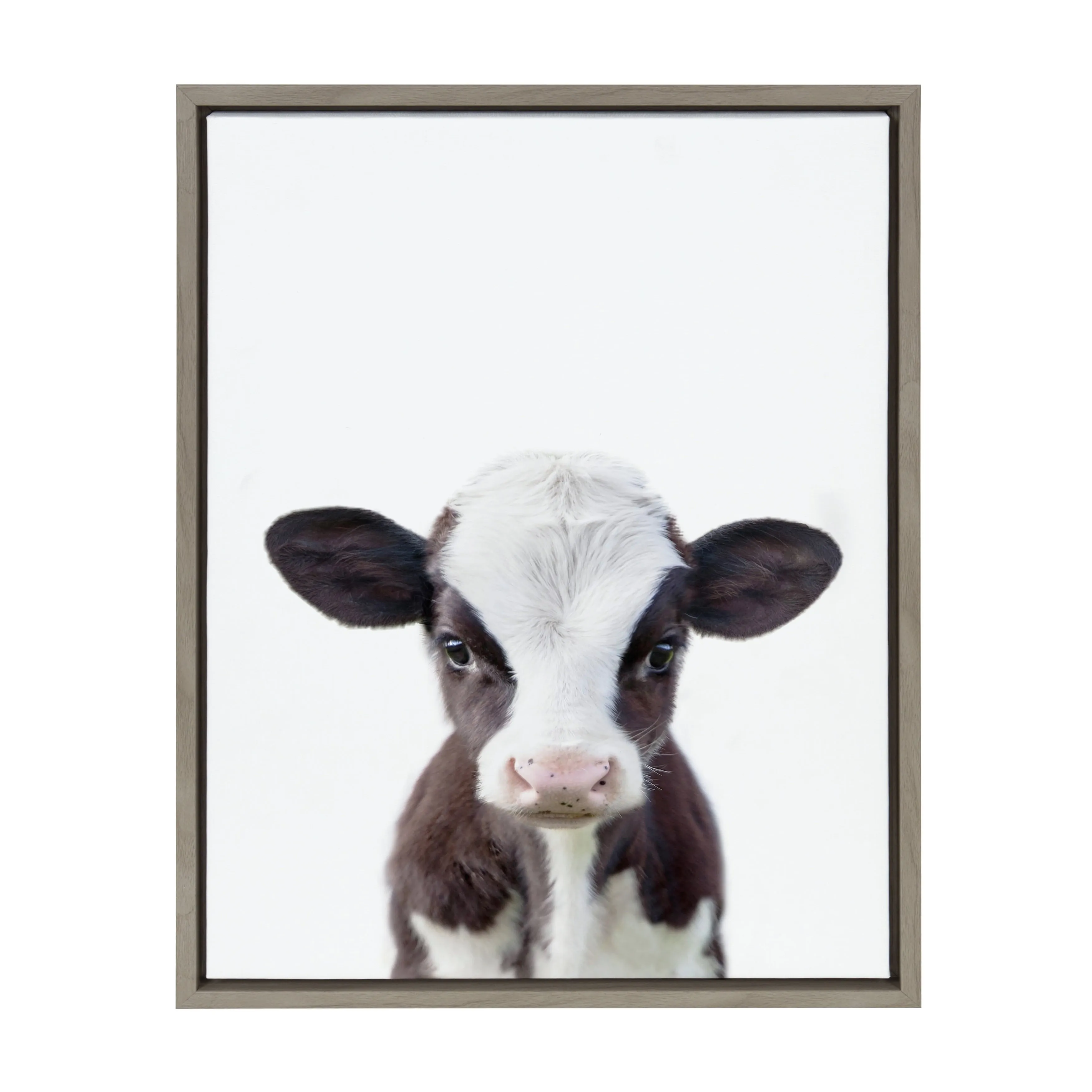 Sylvie Baby Cow Portrait Framed Canvas Wall Art by Amy Peterson, 18X24 Gray, Cute Baby Animal Home Decor for Living Room, Bedroom, or Nursery