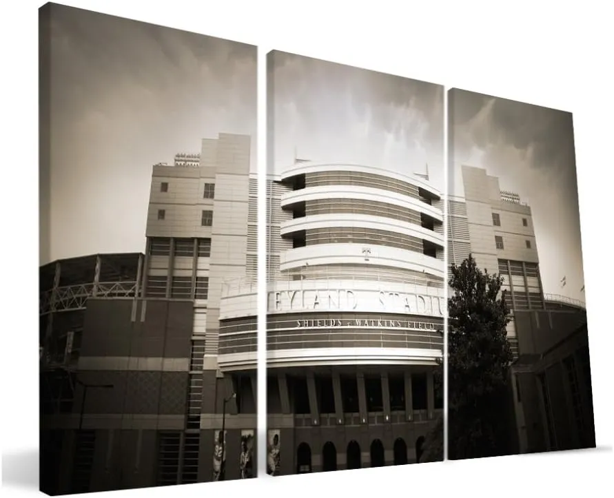 Tennessee 16x36 Neyland Stadium Canvas