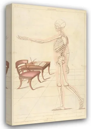 Thomas Sheraton 12x18 Gallery Wrapped Canvas Museum Art Print Titled: Anatomy (1805-1806)