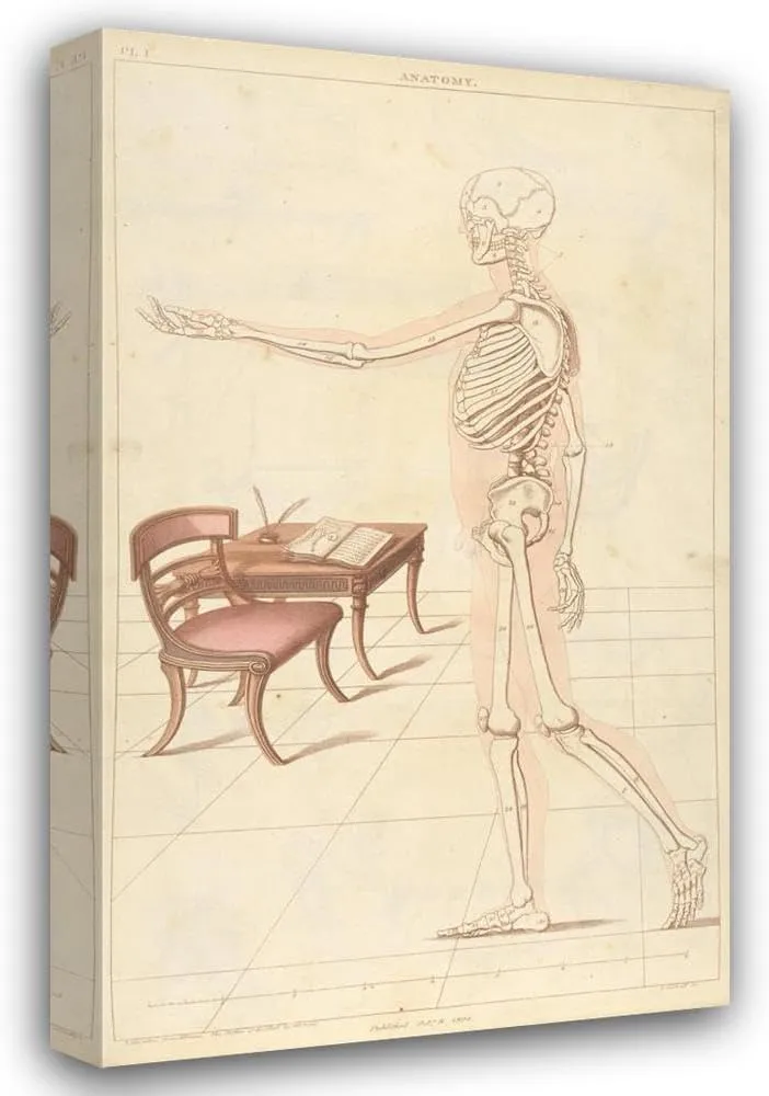 Thomas Sheraton 12x18 Gallery Wrapped Canvas Museum Art Print Titled: Anatomy (1805-1806)