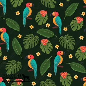 Tropics - Pattern Five