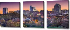 TUMOVO Home Decor Raleigh North Carolina American Cityscape Pictures Rustic Home Decor 3 Panel Skyscraper Skyline Modern Artwork Print on Canvas Stretched and Framed Ready to Hang (36" Wx16 H)