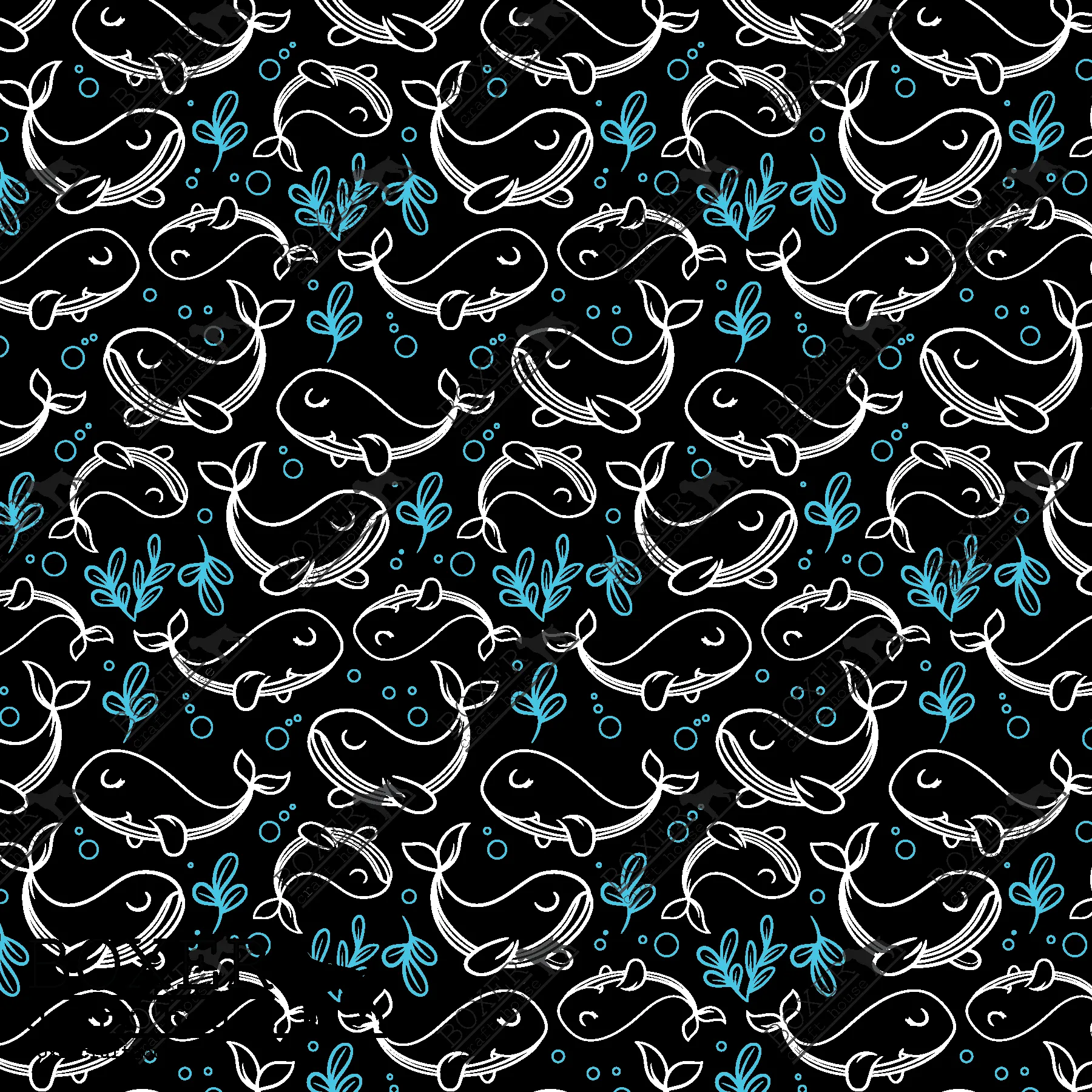 Whale Watching Black