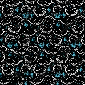 Whale Watching Black
