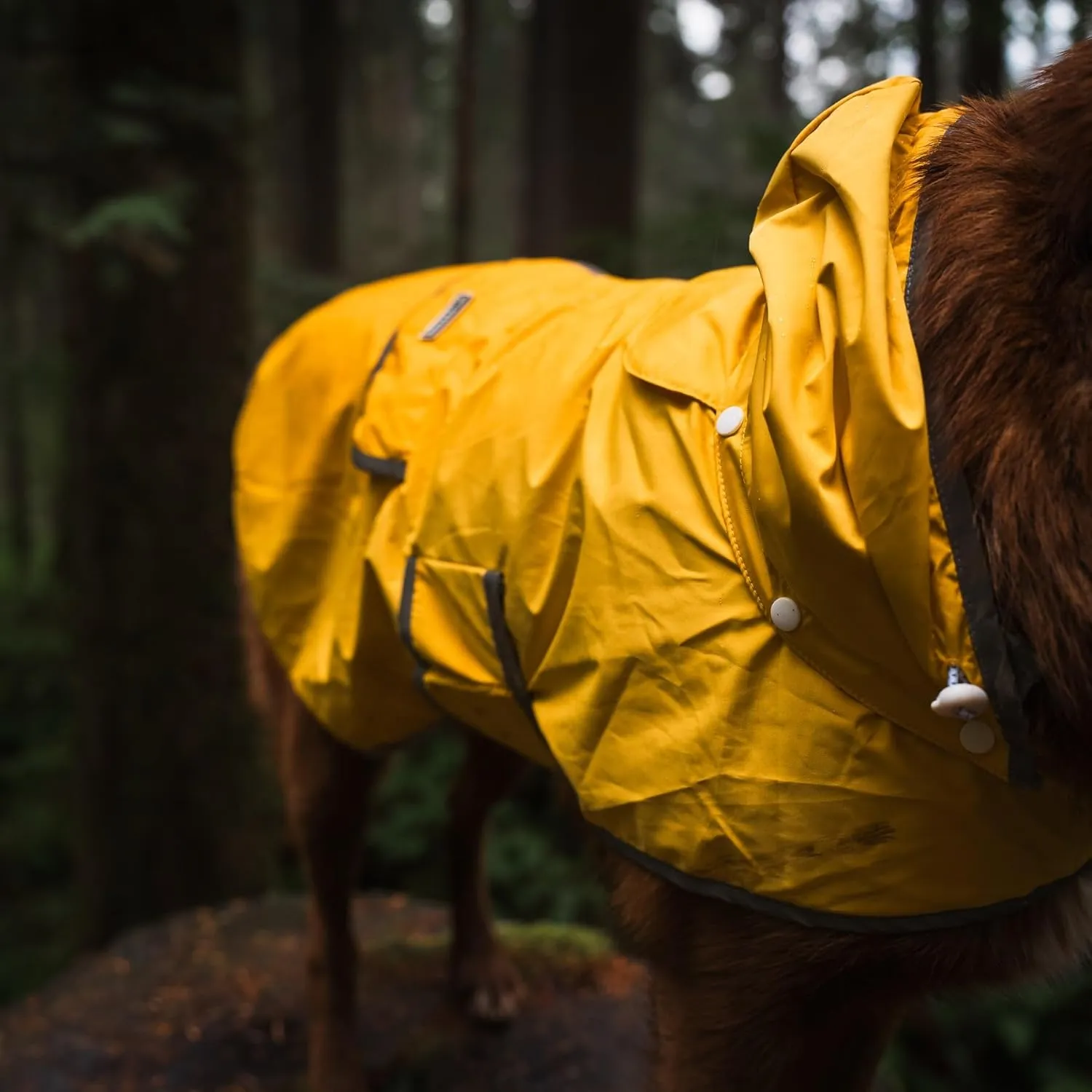 Wilderdog Dog Jacket Waterproof Raincoat with Breathable Interior, Removable Hood, Torso Strap, Secure Closures, Back Pocket and Two Hanging Loops, Foldable into Back Pocket